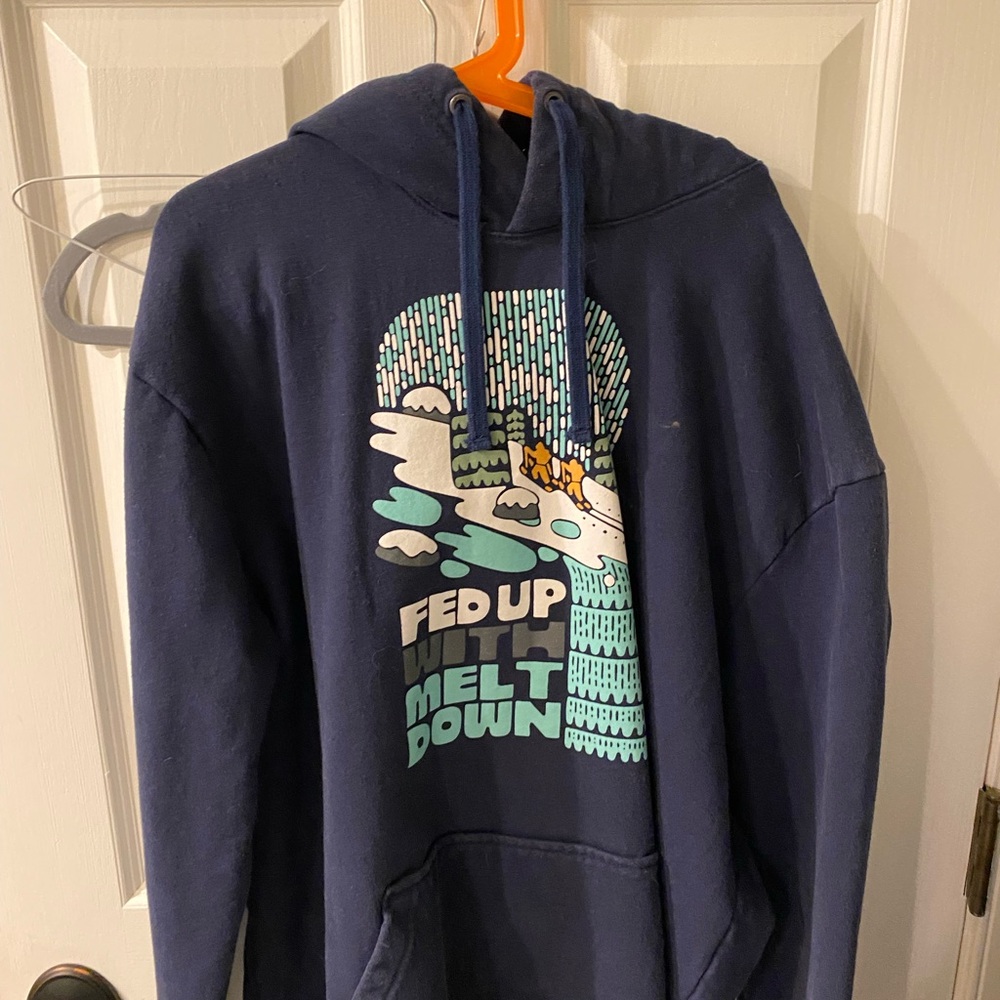 Patagonia Blue Sweatshirt